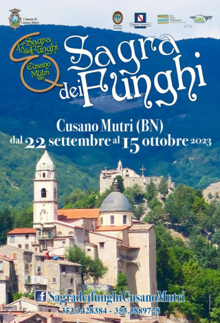 Sagra del Fungo